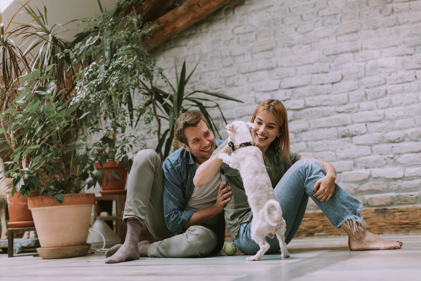 Income protection insurance: what it is and who needs it